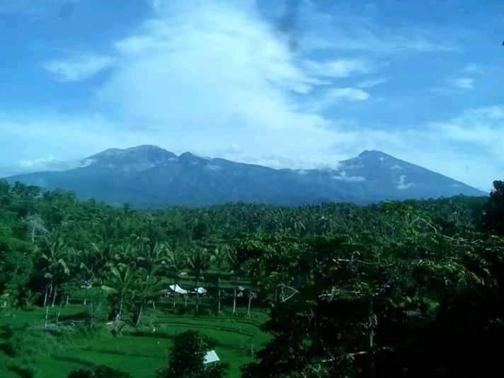 Girang Rinjani Bungalows Tetebatu Luaran gambar
