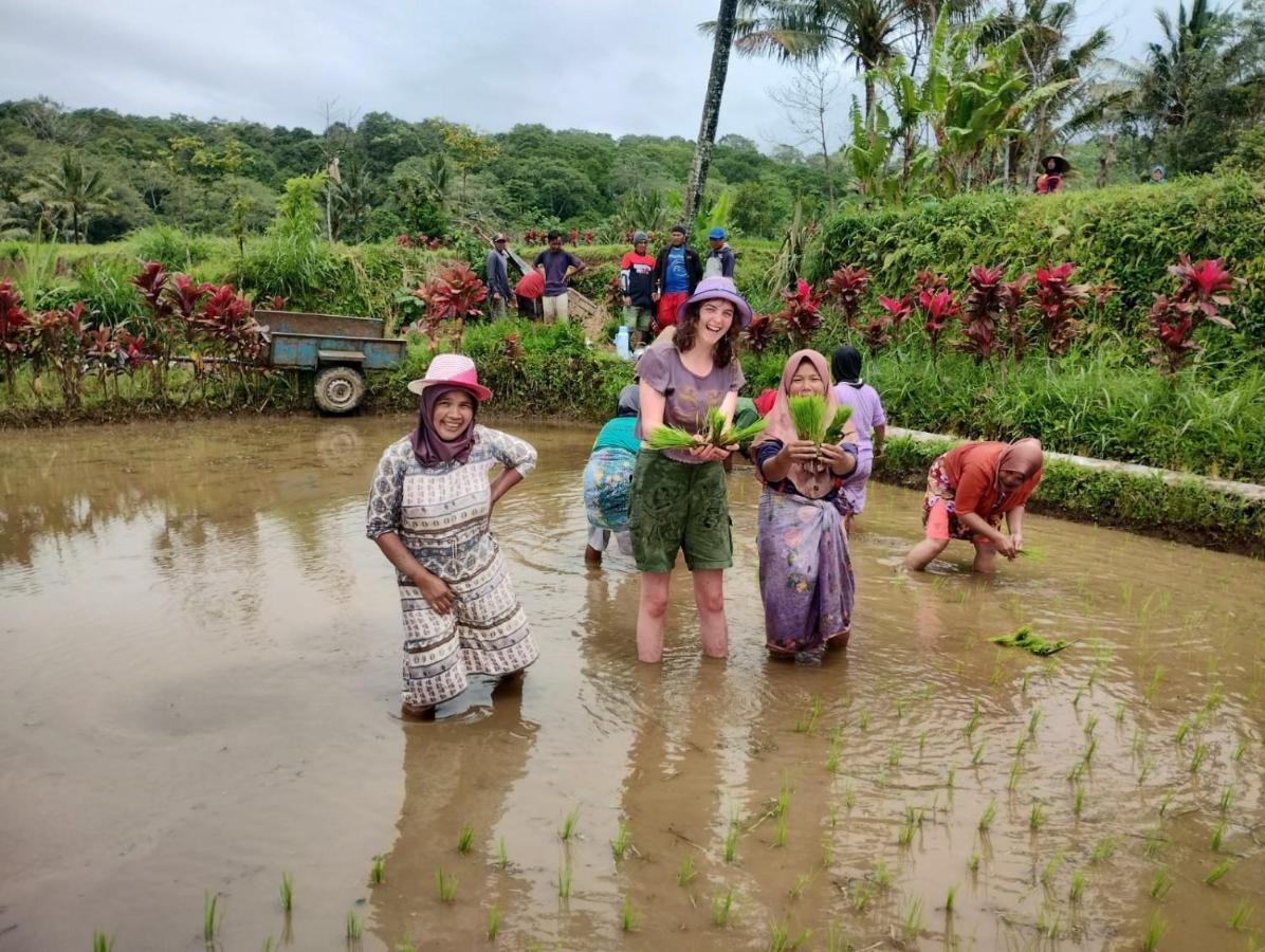 Girang Rinjani Bungalows Tetebatu Luaran gambar