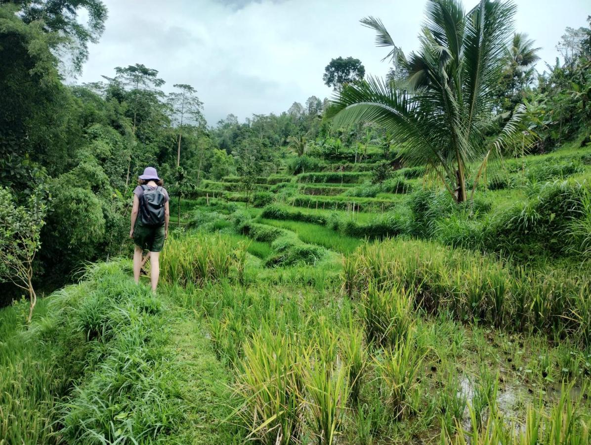 Girang Rinjani Bungalows Tetebatu Luaran gambar