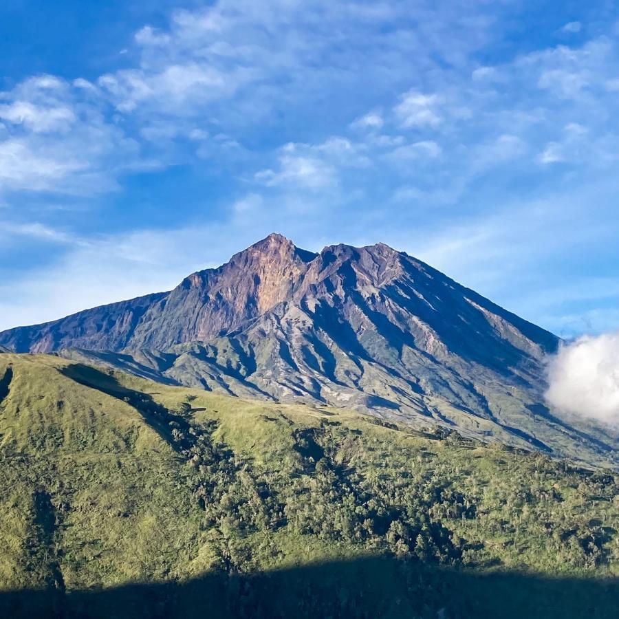 Girang Rinjani Bungalows Tetebatu Luaran gambar