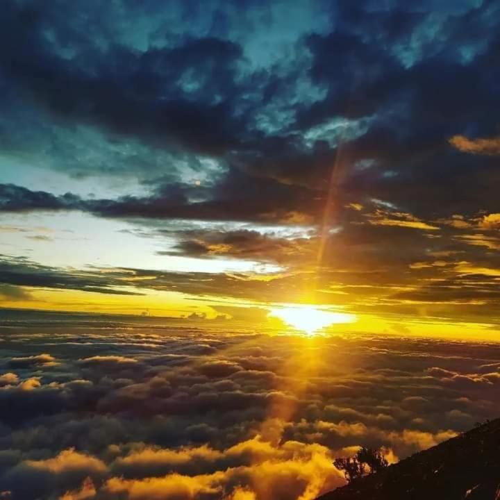 Girang Rinjani Bungalows Tetebatu Luaran gambar