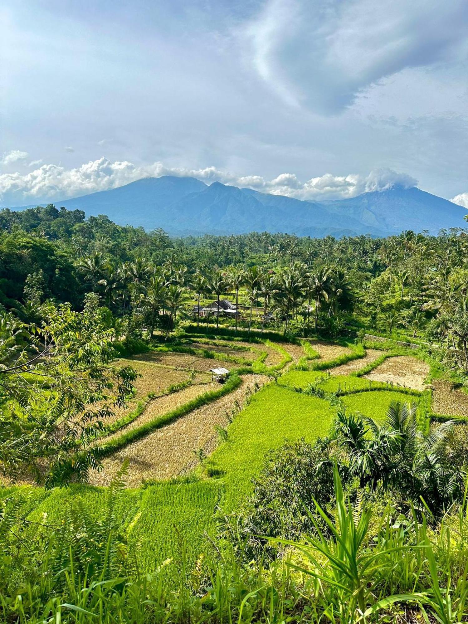 Girang Rinjani Bungalows Tetebatu Luaran gambar