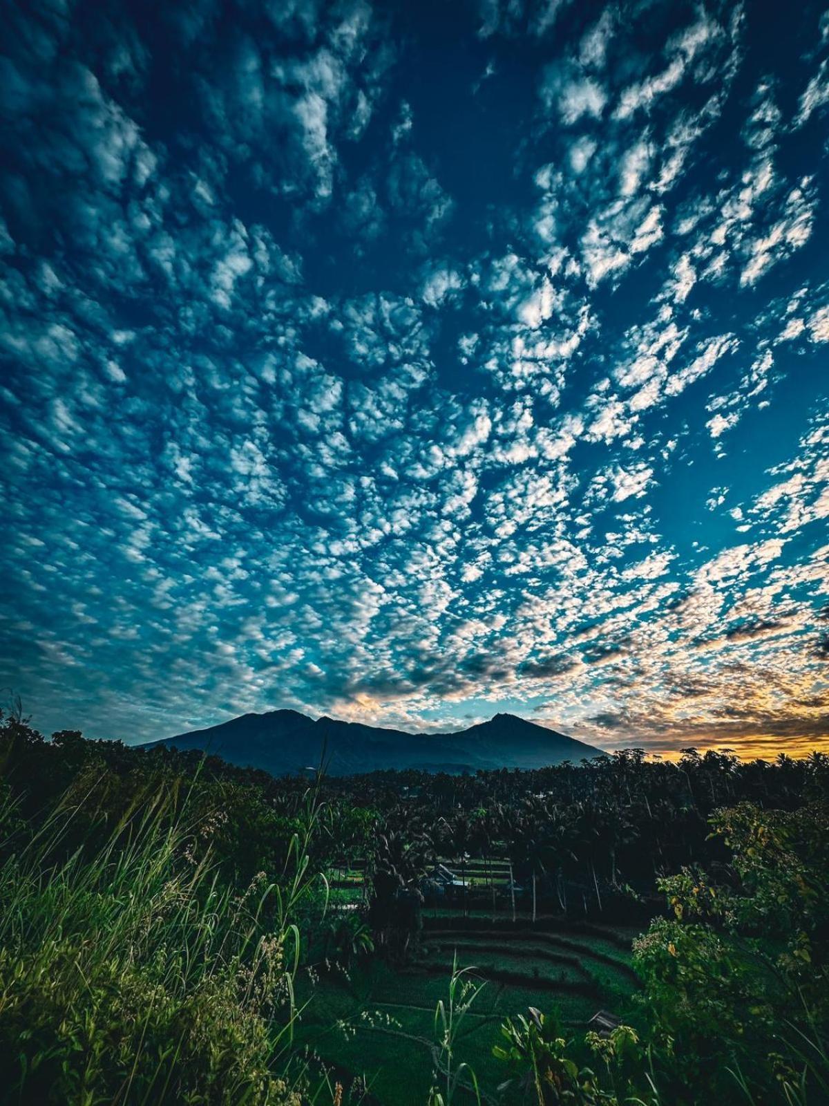 Girang Rinjani Bungalows Tetebatu Luaran gambar