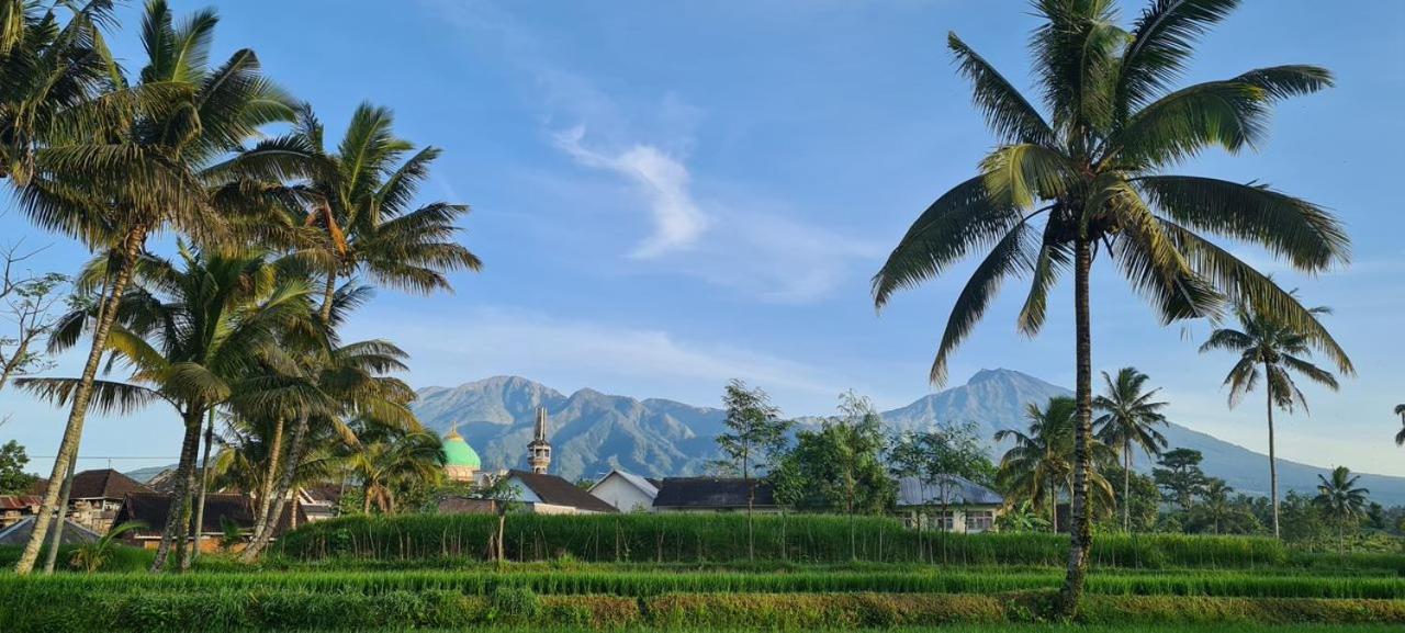 Girang Rinjani Bungalows Tetebatu Luaran gambar