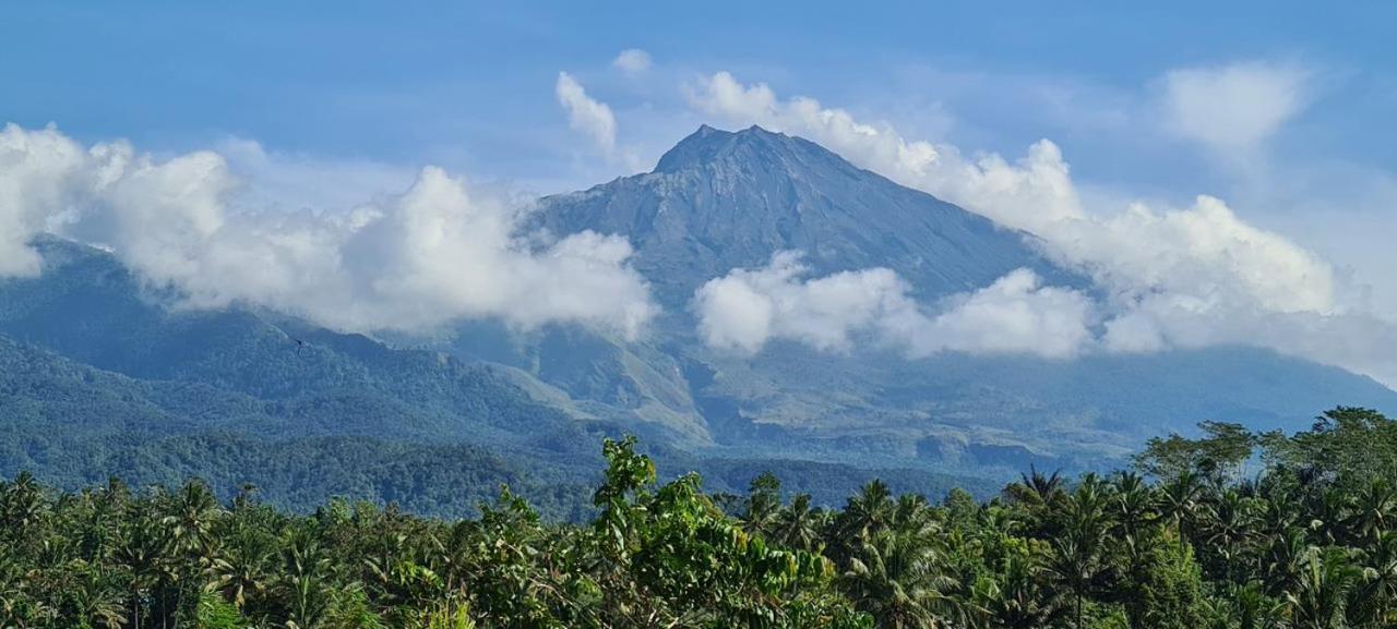Girang Rinjani Bungalows Tetebatu Luaran gambar