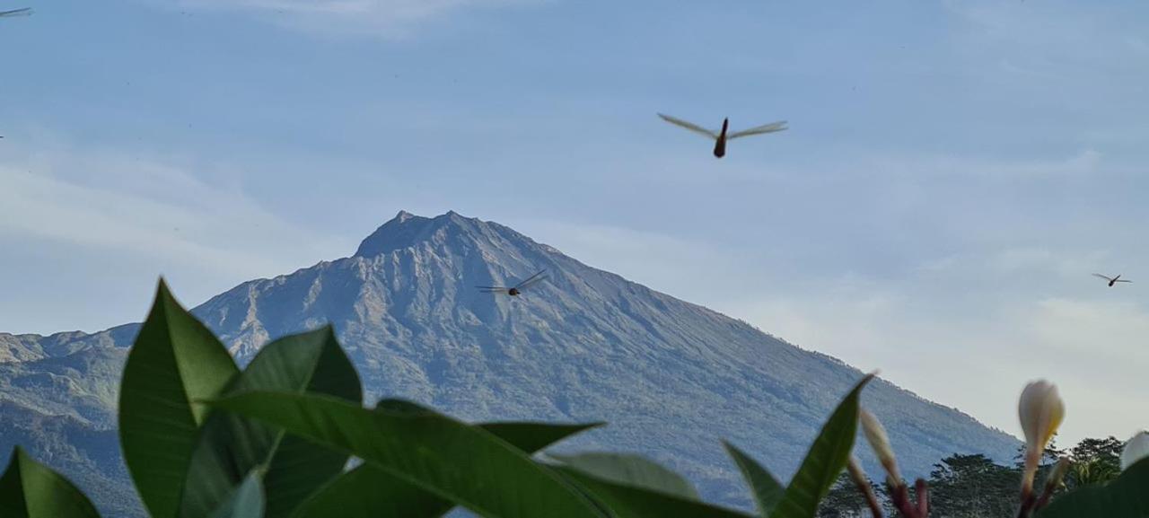 Girang Rinjani Bungalows Tetebatu Luaran gambar