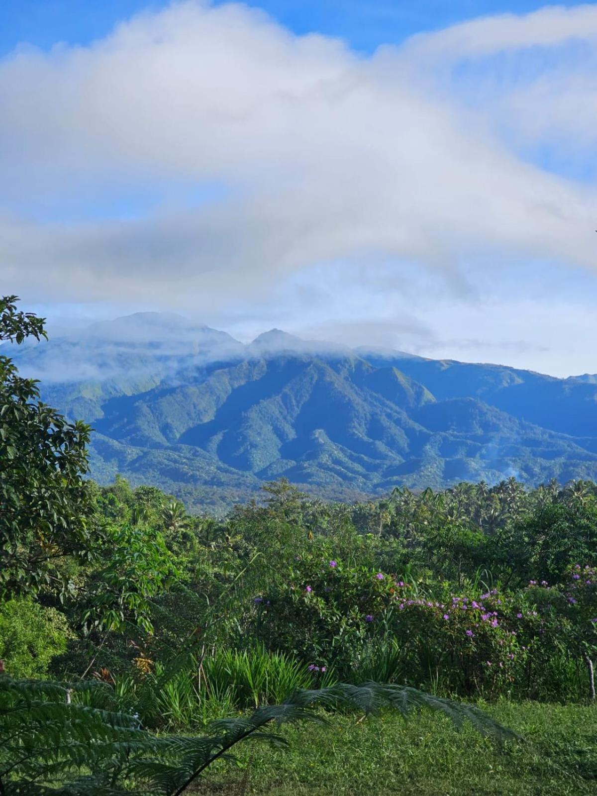 Girang Rinjani Bungalows Tetebatu Luaran gambar